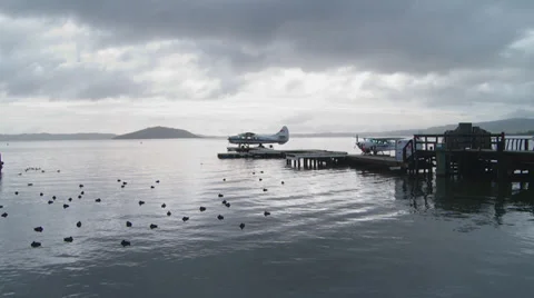 Float planes on Lake Rotorua Stock Footage 39500813