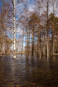 Float with reflection 写真素材