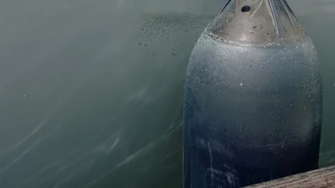 FLOAT ON SIDE OF YACHT Stock-Footage 141747041