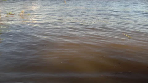 A float is thrown into dirty water Stock Footage 131425348