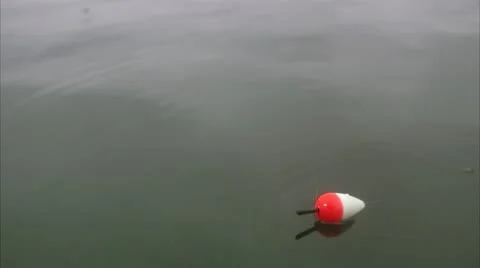 Float on water Stock Footage 11293245