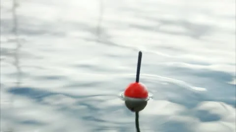 A float in the water Stock Footage 11330235