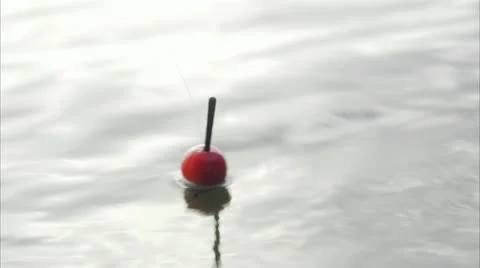 A float in the water Stock Footage 11330238