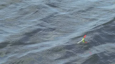 Float on the water Video stock 12449747