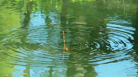 Float on the water Stock Footage 37708900