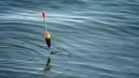 Float on the water Video stock 94838887