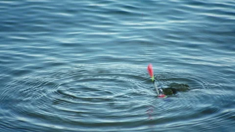 Float on the water Video stock 94839000