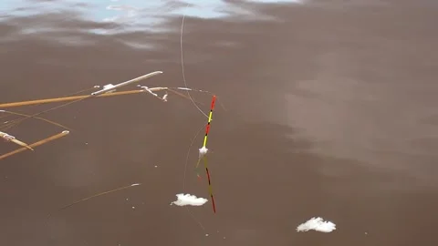 Float in the water. Stock Footage 194897189