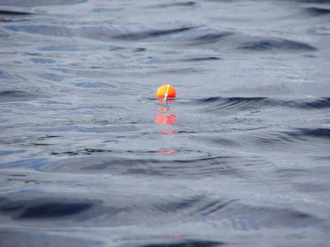 Float on water Stock Photos