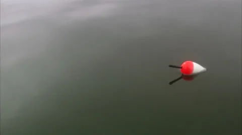 Float on water, Sweden. Stock Footage 51861822