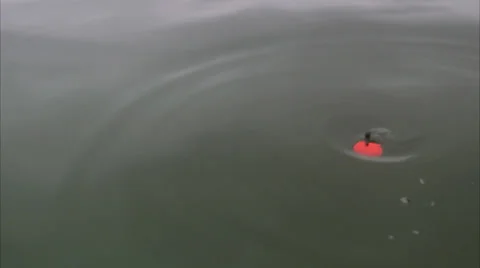 Float on water, Sweden. Stock Footage 51861824