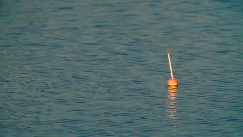 Float on the water waiting for the bite Vídeos de archivo 91964848