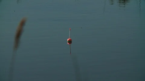 Float on the water waiting for the bite Stock Footage 91964909