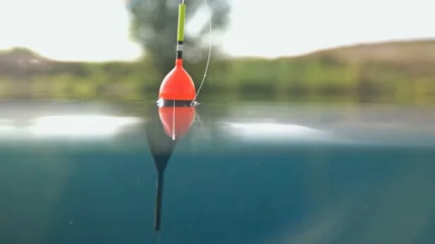 The float on waves above and under water, jerks and goes under water when it Video stock 94407434