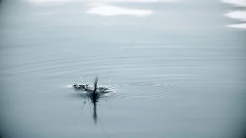 Float on the waves close up Stock Footage 76044905