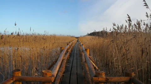 Float wooden path. Stockbeeldmateriaal 57735186