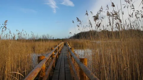 Float wooden path. Stockbeeldmateriaal 57735403