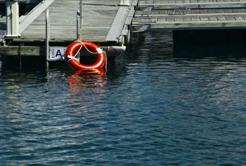 Floatation Ring NTSC Stock Footage 10866395