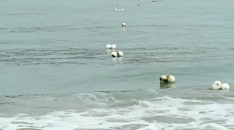 Floaters In The Water Stock Footage