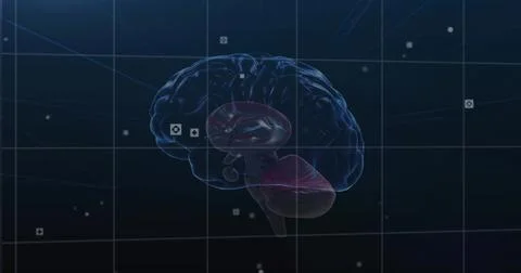 Floating 3D brain displaying highlighted cerebellum and brainstem in lab UI, Stock Illustration