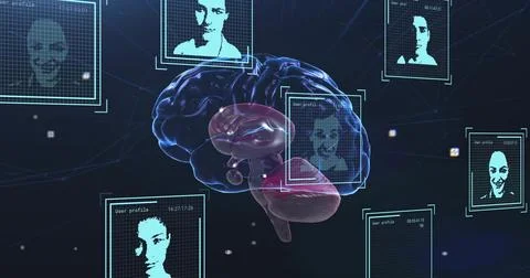 Floating 3D brain model forming connections to user profiles in virtual space, 스톡 일러스트