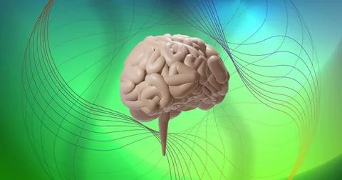 Floating 3D brain model showing brainstem, rotating in green-to-cyan backdrop, Stock Photos