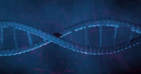 Floating 3D DNA helix model twisting against blue digital grid backdrop, with Stock Illustration