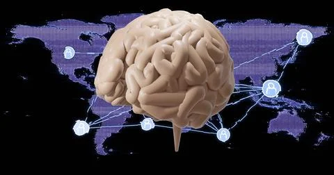 Floating 3D human brain model hovering in dark space, showing purple map Illustrazione stock