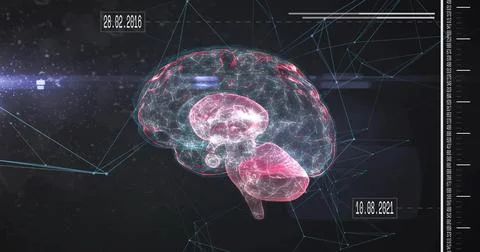 Floating 3D wireframe brain model pulsing in HUD space, showing network lines, Stock Illustration