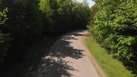 Floating above a narrow road through the forest. 스톡 동영상 165252617