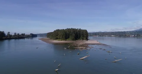 Floating above a river, driftwood and trees Stock Footage