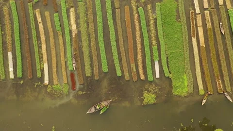 Floating Agricultural Bed Stock Footage 261797792