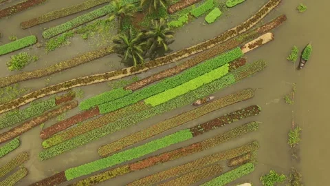 Floating Agricultural Field Video stock 261794333