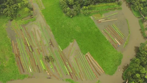 Floating Agricultural Field Video stock 261794349