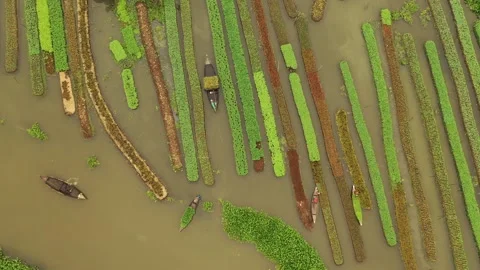 Floating Agricultural Field Video stock 261794769