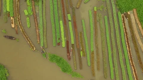 Floating Agricultural Field Stock Footage 261795244