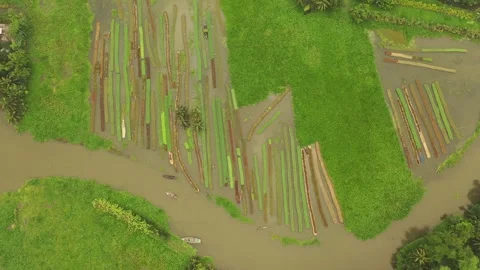 Floating Agricultural Field Video stock 261795409