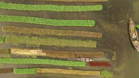 Floating Agricultural Field Video stock 261795625