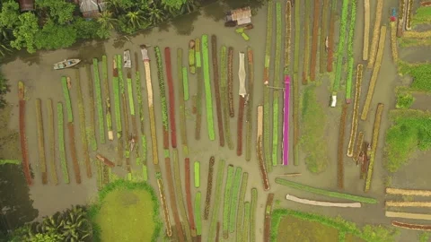 Floating Agricultural Field Stock Footage 261796114