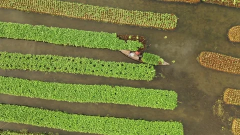 Floating Agricultural Field Video stock 261796700