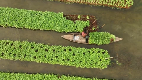 Floating Agricultural Field Video stock 261796743