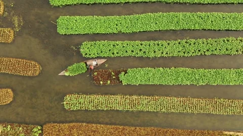 Floating Agricultural Field Video stock 261796754