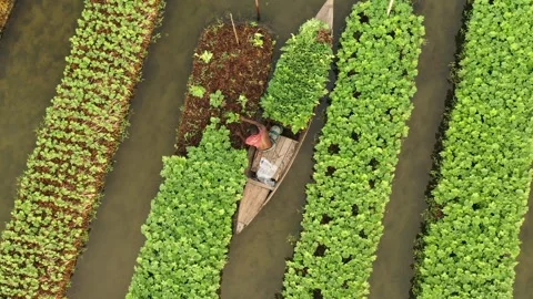 Floating Agricultural Field Video stock 261796841
