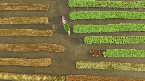 Floating Agricultural Field Video stock 261797587