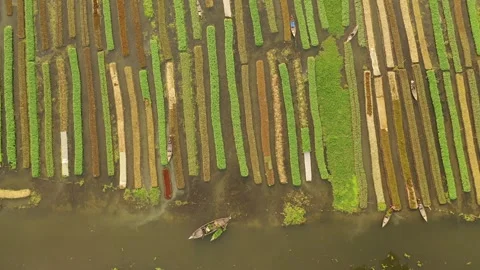 Floating Agricultural Field Video stock 261797754