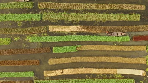 Floating Agricultural Field Video stock 261798709
