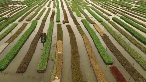Floating Agricultural Field Stock Footage 261799610