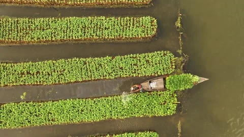 Floating Agricultural Field Video stock 261800051