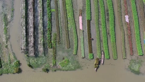 Floating agricultural systems Stock Footage 251913911