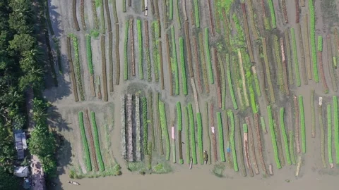 Floating agricultural systems Stock Footage 251914384